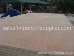 Eucalyptus plywood