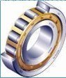 Double row NU series cylindrical Roller Bearing