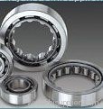 Double Row Full Complement Cylindrical Roller Bearing