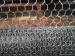 Hexagonal wire netting