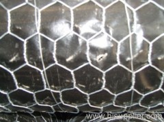 Hexagonal wire netting