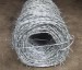 Galvanized Barbed Wire