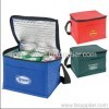 Non-Woven 6 Pack Cooler Bag