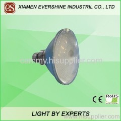 LED PAR LIGHT