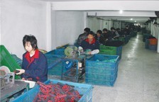 Zhejiang Sung rubber & Plastic Co., Ltd.