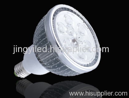 LED PAR 30 LIGHT