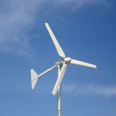 2000w wind generator