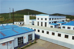 Dalian Blue Ribbon Co.,Ltd.
