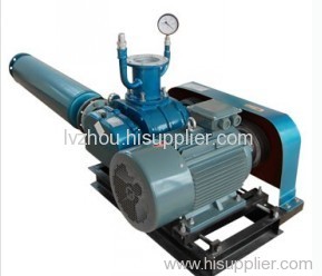 rotary pump