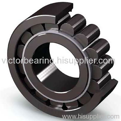 single row full complement cylindrical roller bearings