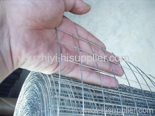 PVC Coated welded Wire Mesh