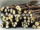 Licorice Root Extract