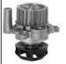 Auto Water Pump