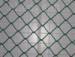 PVC coated chain link wire mesh