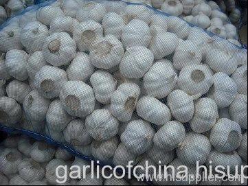 Chinese Normal White Garlic