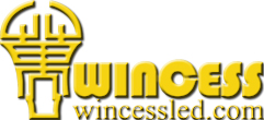 Wincess International (HongKong) Limited