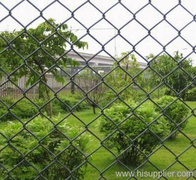 green PVC coated chain link fencing