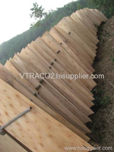 Acacia Core Veneer/ Eucalyptus Core Veneer