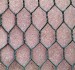 welded wire fence