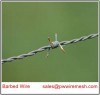 Barbed Wire