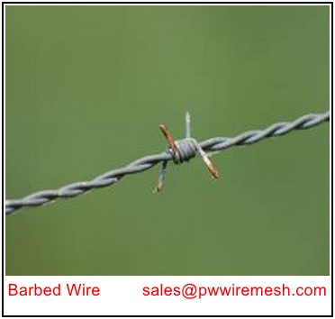 Barbed Wire Netting