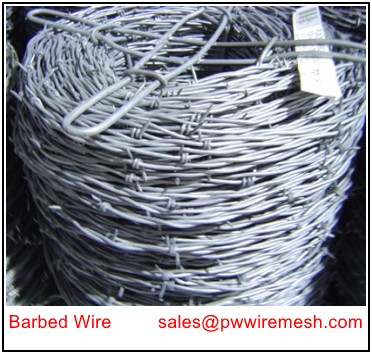 Barbed Wire Coil