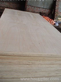 Eucalytus Plywood for constructions