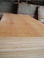 Plywood with core hard wood and face Keruing
