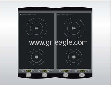 daul zone induction cooker
