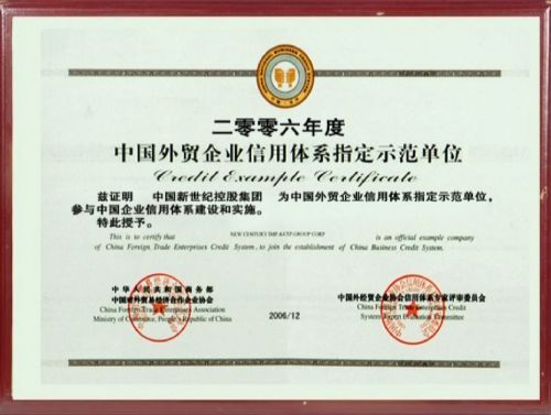 Certificate of Official Example Company of Foreign Trade Credit