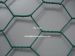 pvc hex wire