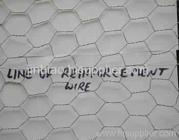 hex wire net