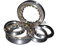 Angular Contact Bearing