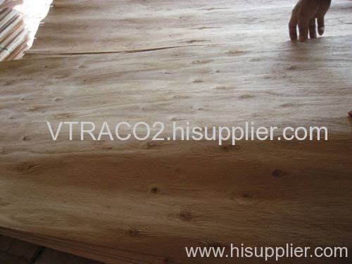 Core Veneer for making High quality Plywood