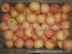 Fresh Fuji Apples