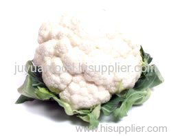 fresh cauliflowers