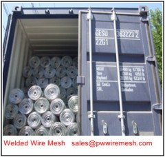 Electro galvanized Welded Wire Mesh Rolls