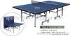 International Table Tennis Table