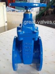 gate valve