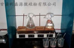 Gansu Lixinyuan Microsilica Co., Ltd