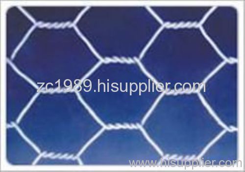 Hexagonal Wire Netting