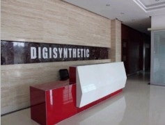 Digisynthetic Co., Ltd.