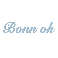 Bonnok Industry Co., Ltd.