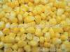 Frozen Sweet Corn