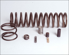 Compression spring