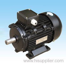 electric motor