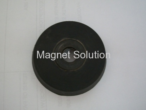 rubber insert magnets
