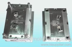 Mold  Mould