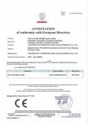 CE Certificate (12 Series German Desktop Socket)
