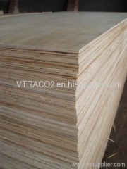 Plywood at best price from Vietnam